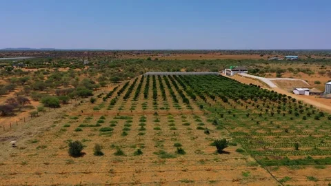 Aerial view top down over farm with greenhouse with vegetables and orange t.. Stock Footage 321580360