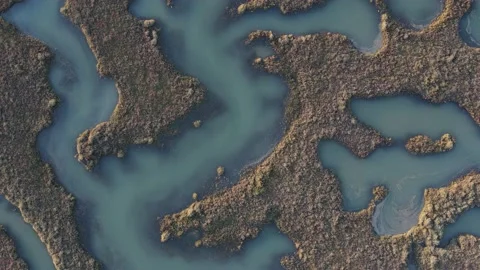 Aerial view top down overhead reveal of Tollesbury Marsh at high tide Stock Footage 234512792
