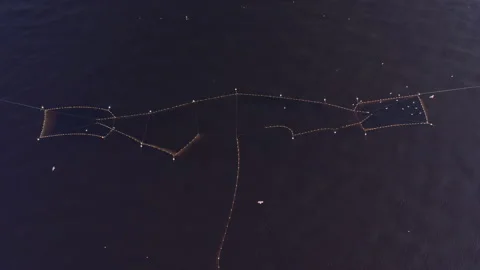 Aerial view, top down overview of herring fishing nets in the Baltic Sea. Stock Footage 276529289