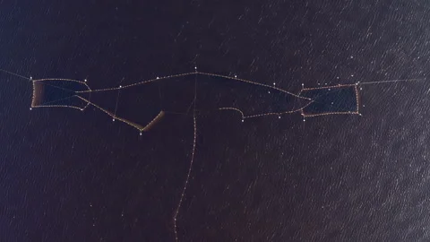 Aerial view top down view of herring fishing nets in the Baltic Sea Seagulls fly Stock Footage 276530719
