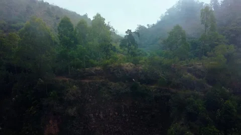 Aerial view top Mount Arjuno Indonesia Stock Footage 289322886