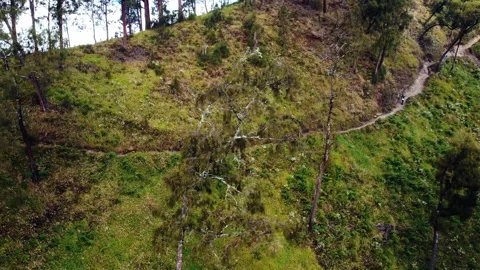 Aerial view top Mount Arjuno Indonesia Stock-Footage 289322993