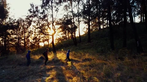 Aerial view top Mount Arjuno Indonesia Stock Footage 289323796