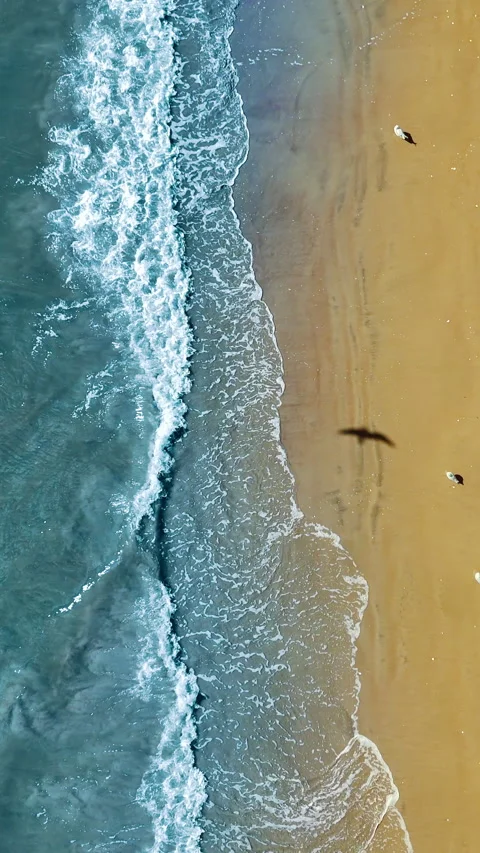 Aerial view on top of ocean waves hitting sandy beach, calm turquoise water Stock Footage 309259057