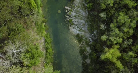Aerial view top shot river flowing through dense forest landscape 動画素材 332886500