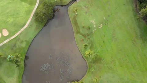 Aerial view top view golf park road mixed forest lake view green background Stock Footage 153380276