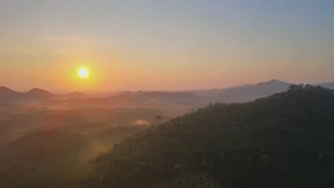 Aerial view top view sunset mountain mixed forest colors cloud background Stock Footage 151064512