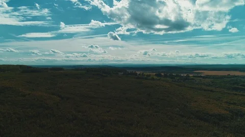 Aerial view of tops of mixed broad-leaved forest against the sky with sunrays Stock Footage 125043447