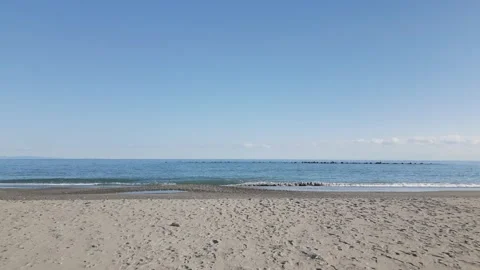 Aerial view of Torii gate at the beach, Shizuoka, Japan 動画素材 325832552