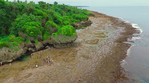 Aerial view of tourists exploring the exposed tidal flats and unique rock Stock Footage 323929058