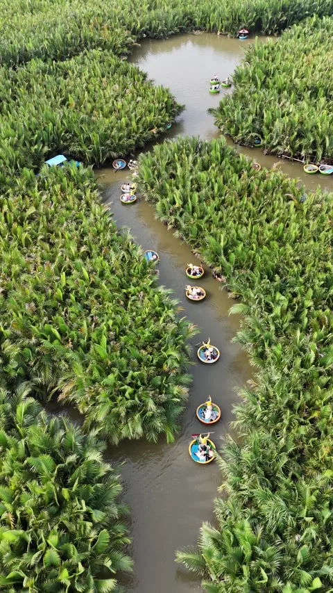 Aerial View of Tourists Riding Basket Boats Through a Water Coconut Palm Forest Stock Footage 335832453