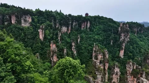 Aerial View of Towering Sandstone Pillars and Green Forests Zhangjiajie Hunan Stock Footage 345730899