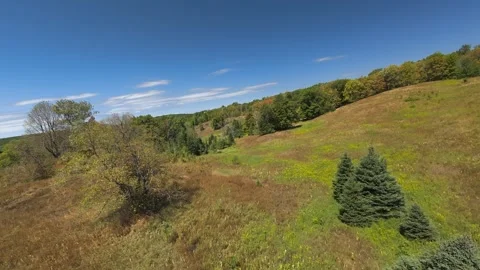 Aerial View Tracking Across Rolling Grassy Meadow in the Summer Stock Footage 342085281