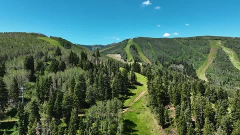 Aerial view tracking of a hawk bird soaring over mountain valley town in Utah Stock-Footage 345006057