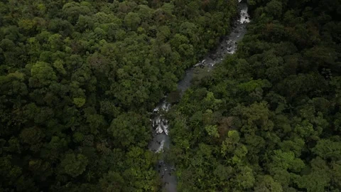 Aerial view tracking Rio Celeste river in Costa Rica lush jungle Stock Footage 329657381