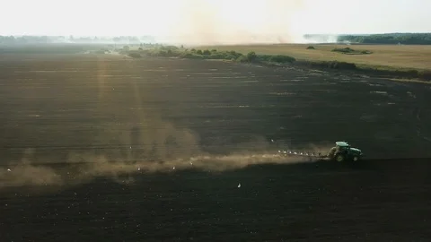 Aerial view of tractor and storks on a plowed field Vidéo 126578630