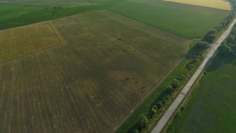 Aerial view tractor baling machine making silage bales on farmland, cut wheat Stock Footage 191008592