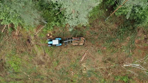 Aerial view tractor with a crane loads a trailer with logs in a forest. Stock-Footage 238014589