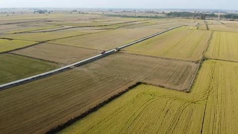 Aerial view of a tractor crossing fields of rice Stock Footage 162250408