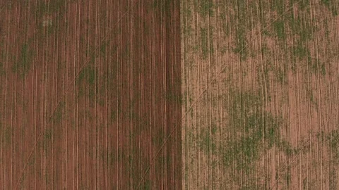 Aerial view tractor cuts furrows in farm field for sowing farm tractor with Stock Footage 145519870