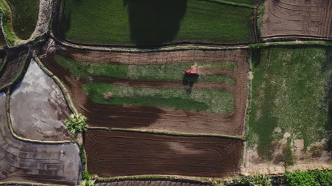 Aerial view of a tractor in a field plowing the land in preparation for sowing. Stock Footage 246569042