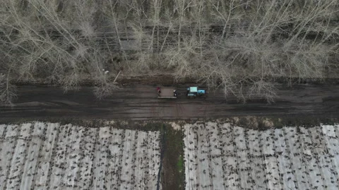 Aerial view of the tractor Stock Footage 186279529