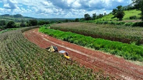 Aerial view of a tractor harvesting corn for silage in a field with contour.. Stock Footage 342359641