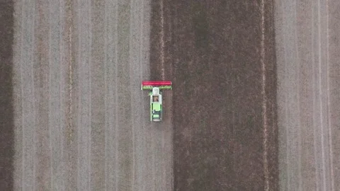 Aerial view of tractor harvesting in parallel lines on farmland at sunset Stock-Footage 315239609