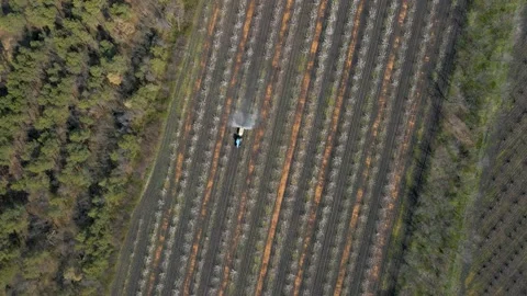Aerial view of a tractor moves through the spring fruit orchard and sprays Stock Footage 152741824