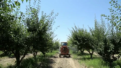 Aerial view of tractor mowing Stock-Footage 135895547
