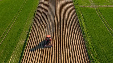 Aerial view of tractor performs seeding on the field Stock Footage 111461174