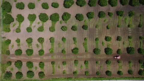 Aerial view of tractor plowing the field in plantation.  Vidéo 206040951