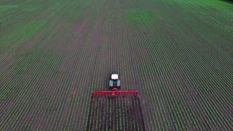 Aerial view of tractor plowing field with young crops, agricultural machine.. Stock Footage 334856072