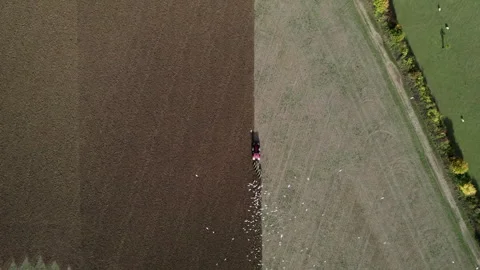 Aerial view of a tractor plowing a field with birds following Stock Footage 340546699