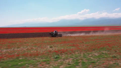 Aerial view of tractor plowing a red poppy field on sunny day Stock Footage 323947491