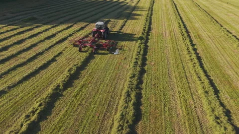 Aerial View of Tractor Raking Grass into Windrows on Norwegian Farm 스톡 동영상 343612703