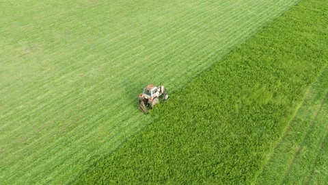 Aerial view tractor removes grass from the field Stock Footage 166347645