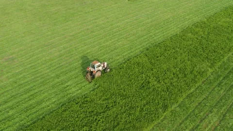 Aerial view tractor removes grass from the field Stock Footage 166348372