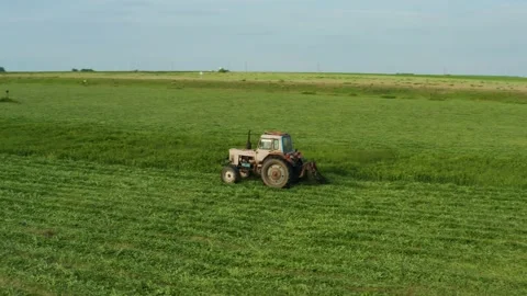 Aerial view tractor removes grass from the field Stock Footage 166459934
