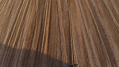 Aerial view of a tractor with a seeder in the field, sowing grain crops 스톡 동영상 130970371
