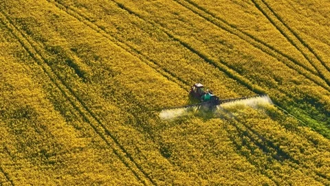 Aerial view of a tractor sprayer working through a blooming rapeseed field Stock Footage 334020632