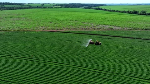 Aerial view of a tractor spraying green peanut crops next to a vast sugarca.. Stock Footage 342362048