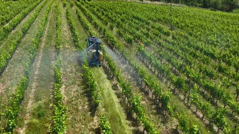 Aerial view of a tractor spraying rows of lush grapevines in a vineyard Stock Footage 346740358