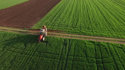Aerial view of tractor spraying wheat field Video stock 72610022