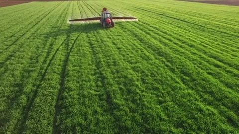 Aerial view of tractor spraying wheat field Video stock 72610385