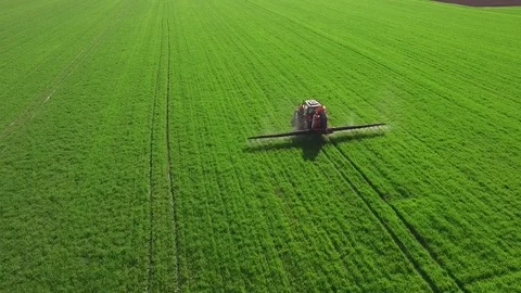 Aerial view of tractor spraying wheat field Video stock 72610933