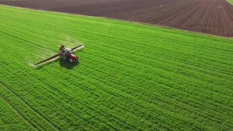 Aerial view of tractor spraying wheat field Video stock 72611149