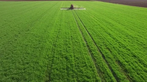Aerial view of tractor spraying wheat field Video stock 72611240
