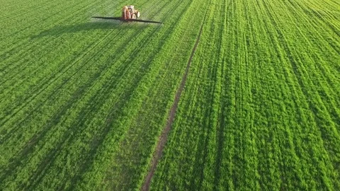 Aerial view of tractor spraying wheat field Video stock 72611296
