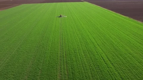 Aerial view of tractor spraying wheat field Video stock 72611601